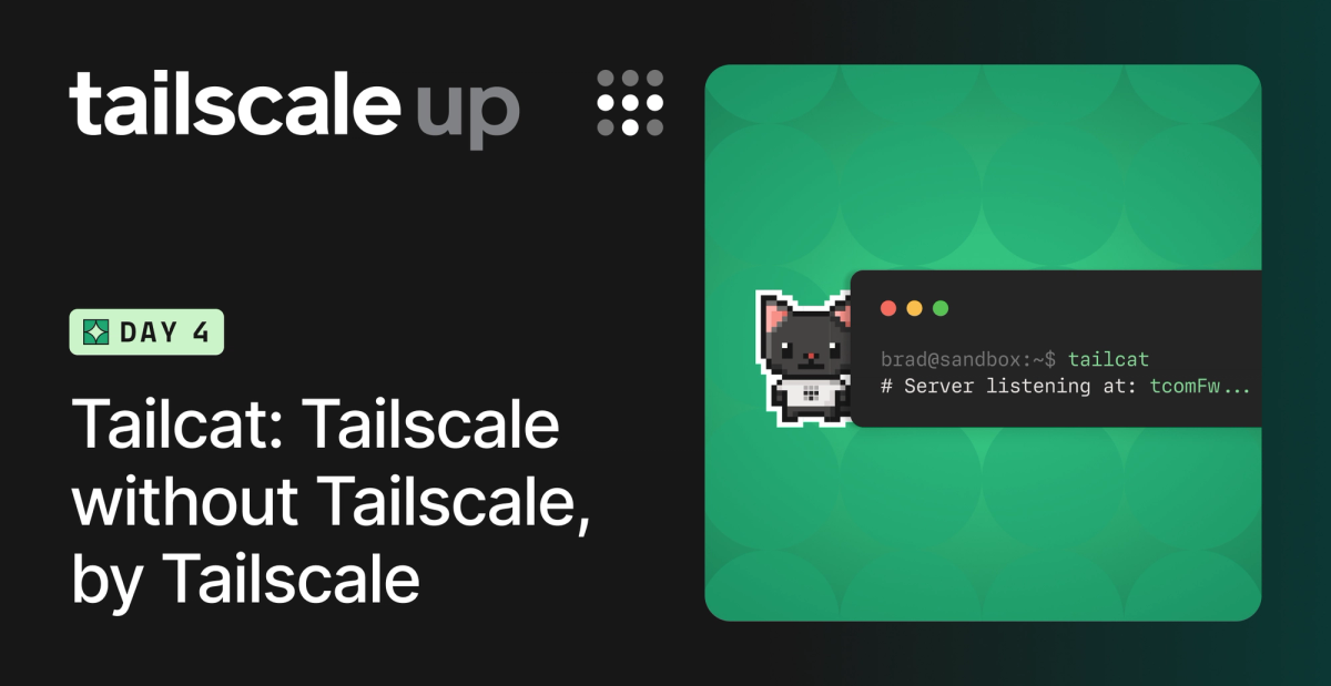 Tailscale 开源 tailcat：去控制面的 WireGuard 临时通道，甩 token 就能传数据